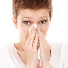 Three Natural Hayfever Remedies to Combat Seasonal Allergies