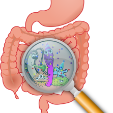 The Spleen and Stomach – Chinese Medicine in Focus