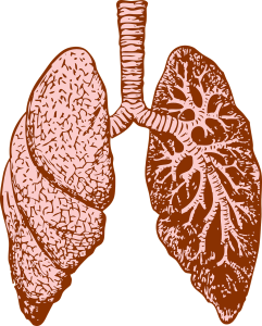 The Lungs and Large Intestine in Chinese Medicine